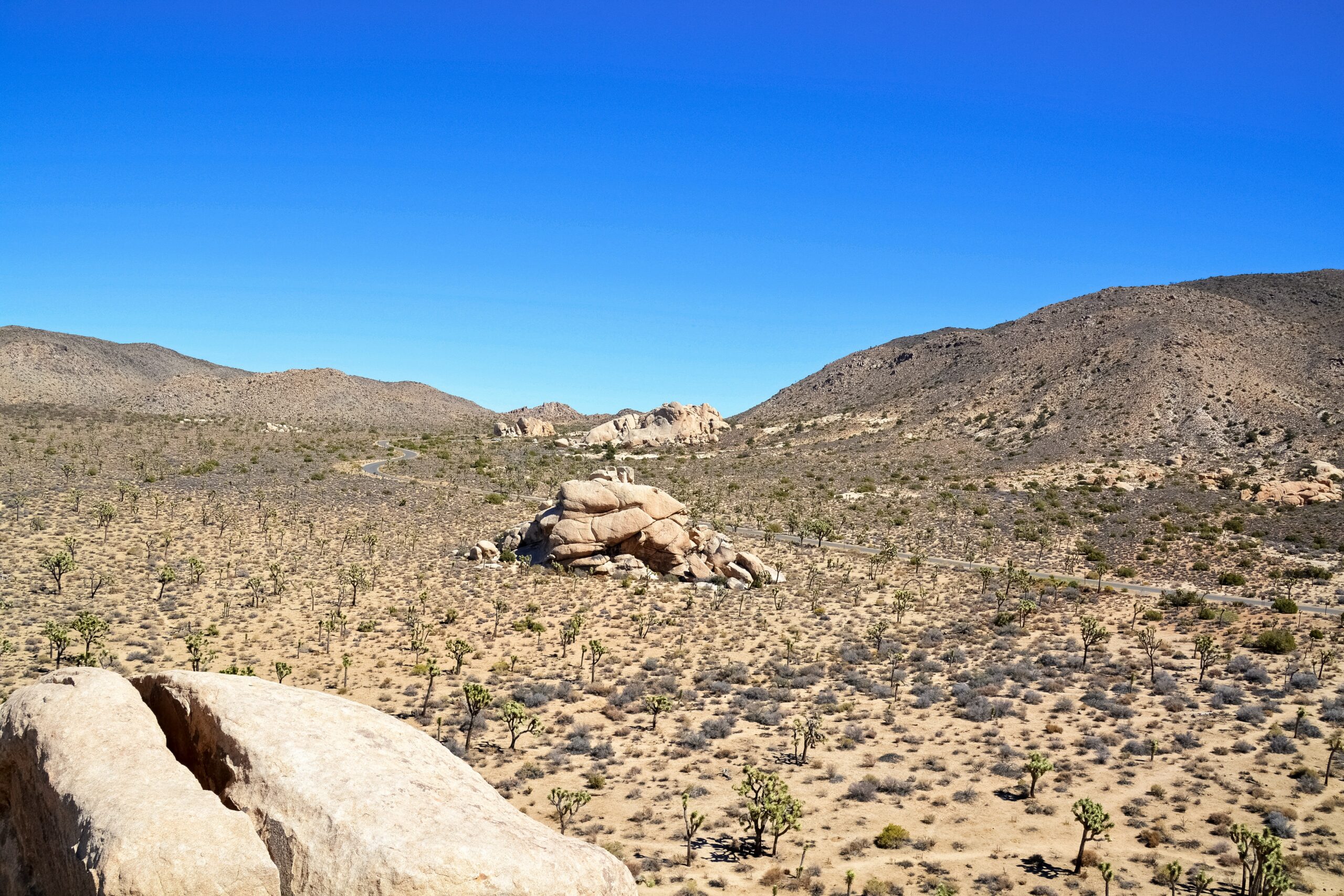 Spiritual Wilderness